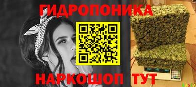 гашик Ярцево