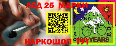 ПСИЛОЦИБИНОВЫЕ ГРИБЫ Ярославль